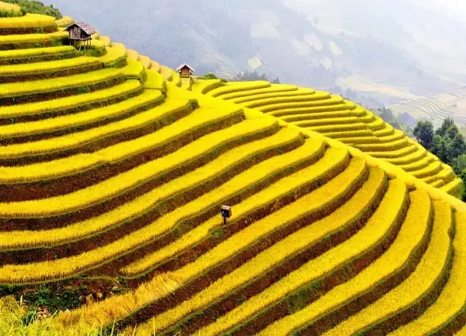 Bản Nậm Hồng Hoàng Su Phì: Kinh Nghiệm Du Lịch Và Khám Phá Vẻ Đẹp Hoang Sơ Bản Nậm Hồng Hoàng Su Phì: Kinh Nghiệm Du Lịch Và Khám Phá Vẻ Đẹp Hoang Sơ