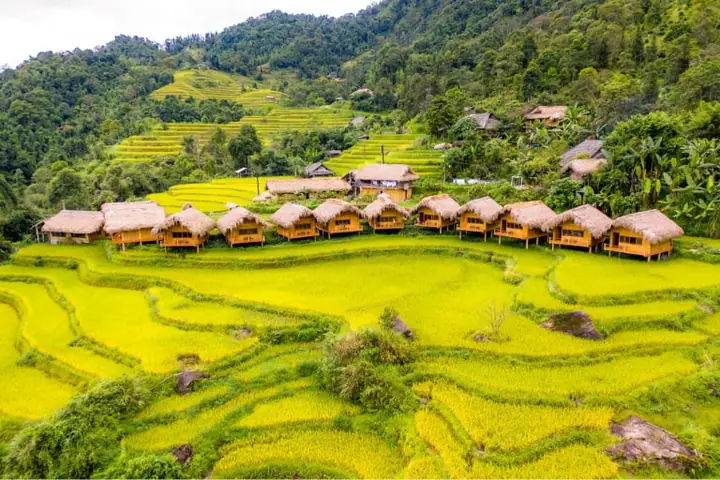 Bản Nậm Hồng Hoàng Su Phì: Kinh Nghiệm Du Lịch Và Khám Phá Vẻ Đẹp Hoang Sơ Bản Nậm Hồng Hoàng Su Phì: Kinh Nghiệm Du Lịch Và Khám Phá Vẻ Đẹp Hoang Sơ
