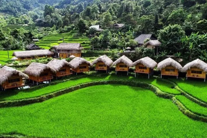 Bản Nậm Hồng Hoàng Su Phì: Kinh Nghiệm Du Lịch Và Khám Phá Vẻ Đẹp Hoang Sơ Bản Nậm Hồng Hoàng Su Phì: Kinh Nghiệm Du Lịch Và Khám Phá Vẻ Đẹp Hoang Sơ