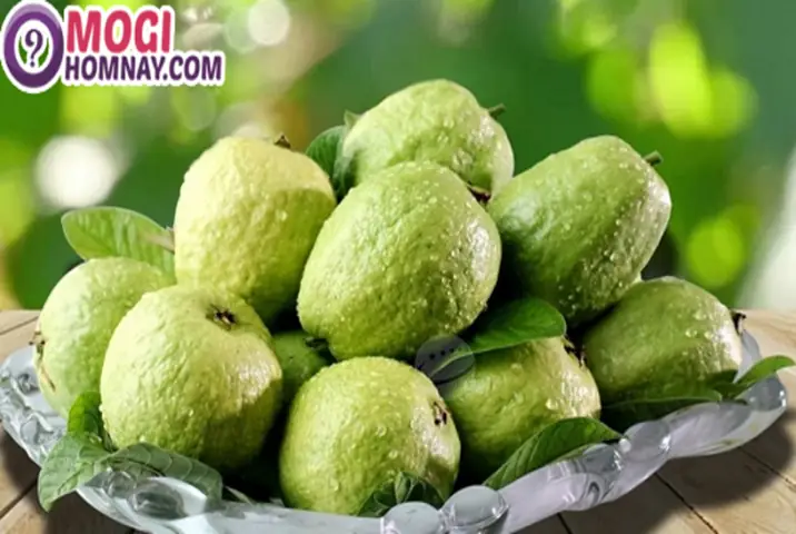 Giải Mã Giấc Mơ Ăn Quả Ổi: Con Số May Mắn Và Ý Nghĩa Chi Tiết