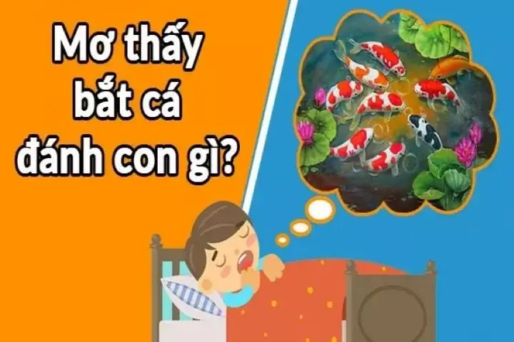 Nằm Mơ Bắt Được Cá Đánh Lô Đề Con Gì Nằm Mơ Bắt Được Cá Đánh Lô Đề Con Gì