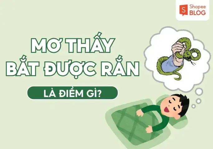 Nằm Mơ Bắt Được Rắn Hổ Mang Đánh Con Gì Nằm Mơ Bắt Được Rắn Hổ Mang Đánh Con Gì