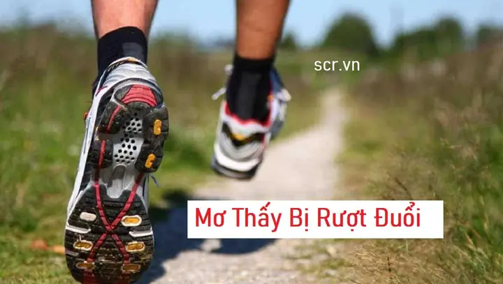 Nằm Mơ Bị Đuổi, Chém, Đánh – Ý Nghĩa, Dấu Hiệu Và Con Số May Mắn Nằm Mơ Bị Đuổi, Chém, Đánh – Ý Nghĩa, Dấu Hiệu Và Con Số May Mắn