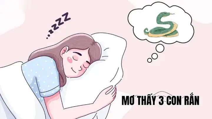 Nằm Mơ Thấy 3 Con Rắn Đánh Số Gì Nằm Mơ Thấy 3 Con Rắn Đánh Số Gì