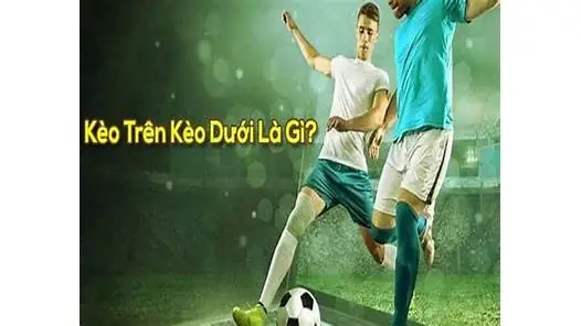 Nằm Mơ Thấy Bà Bầu Đánh Số May