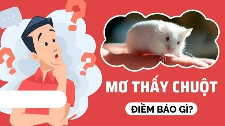 Nằm Mơ Thấy Bắt Chuột Đánh Số May Nằm Mơ Thấy Bắt Chuột Đánh Số May