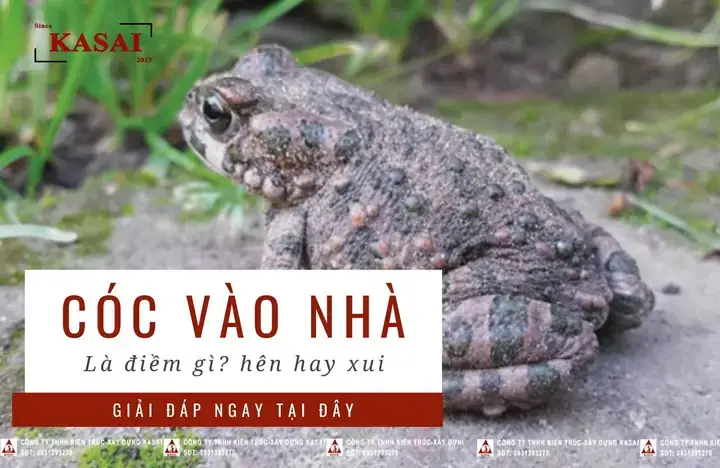 Nằm Mơ Thấy Bắt Con Cóc Đánh Số Gì Nằm Mơ Thấy Bắt Con Cóc Đánh Số Gì