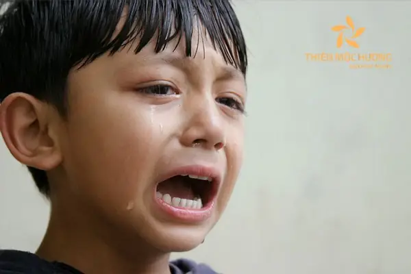 Nằm Mơ Thấy Be Trai Đi Theo Mình Nằm Mơ Thấy Be Trai Đi Theo Mình