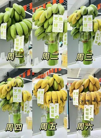 Nằm Mơ Thấy Buồng Chuối Chín Đánh Số May