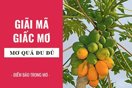 Nằm Mơ Thấy Cây Đu Đủ Nhiều Quả: Ý Nghĩa, Điềm Báo Và Con Số May Mắn Nằm Mơ Thấy Cây Đu Đủ Nhiều Quả: Ý Nghĩa, Điềm Báo Và Con Số May Mắn