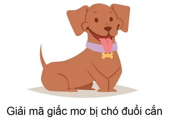 Nằm Mơ Thấy Chó Cắn: Ý Nghĩa, Điềm Lành Hay Xui Và Cách Giải Thích Nằm Mơ Thấy Chó Cắn: Ý Nghĩa, Điềm Lành Hay Xui Và Cách Giải Thích
