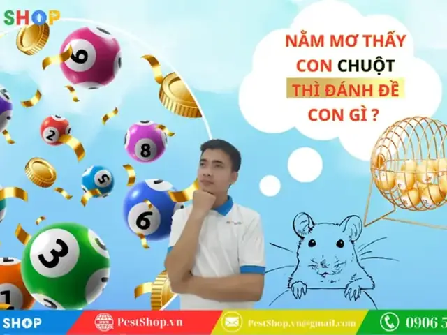 Nằm Mơ Thấy Côn Trùng: Các Con Số May Mắn Và Cách Chọn Để Tăng Cơ Hội Thắng Lô Đề Nằm Mơ Thấy Côn Trùng: Các Con Số May Mắn Và Cách Chọn Để Tăng Cơ Hội Thắng Lô Đề