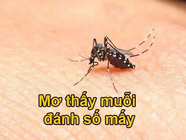 Nằm Mơ Thấy Côn Trùng: Các Con Số May Mắn Và Cách Chọn Để Tăng Cơ Hội Thắng Lô Đề Nằm Mơ Thấy Côn Trùng: Các Con Số May Mắn Và Cách Chọn Để Tăng Cơ Hội Thắng Lô Đề
