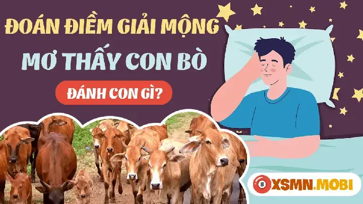 Nằm Mơ Thấy Đàn Bò Đánh Số Mấy: Giải Mã Ý Nghĩa Và Cách Chọn Số Đề