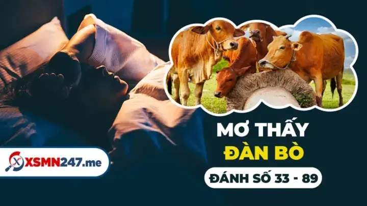Nằm Mơ Thấy Đàn Bò Đánh Số Mấy: Giải Mã Ý Nghĩa Và Cách Chọn Số Đề