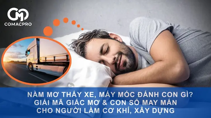 Nằm Mơ Thấy Đào Đất Đánh Đề Con Gì Nằm Mơ Thấy Đào Đất Đánh Đề Con Gì