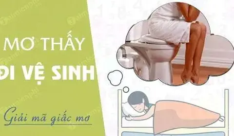 Nằm Mơ Thấy Đi Ỉa: Ý Nghĩa, Điềm Báo Và Các Con Số May Mắn