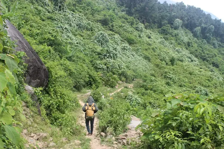 Nằm Mơ Thấy Đi Lạc Vào Rừng Đánh Số May