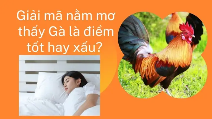 Giải Mã Giấc Mơ Thấy Gà Trống Đánh Số May – Ý Nghĩa, Dự Báo Và Con Số May Mắn Giải Mã Giấc Mơ Thấy Gà Trống Đánh Số May – Ý Nghĩa, Dự Báo Và Con Số May Mắn