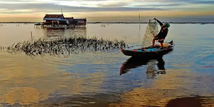 Nằm Mơ Thấy Ghẹ Đánh Đề Con Gì Nằm Mơ Thấy Ghẹ Đánh Đề Con Gì
