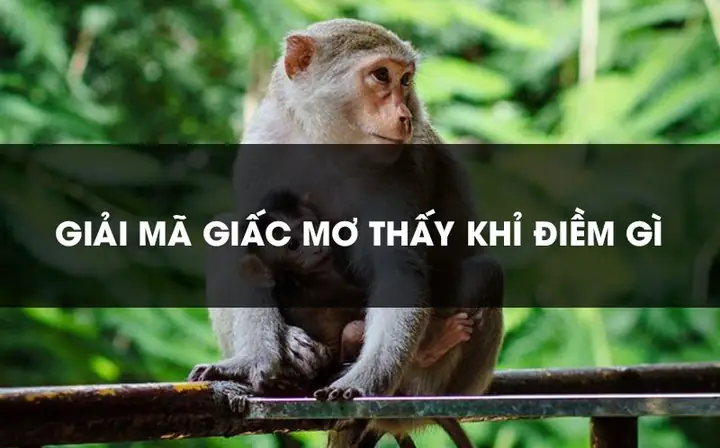 Nằm Mơ Thấy Giết Khỉ Đánh Con Gì? Điểm Báo Và Cách Chọn Số May Mắn Nằm Mơ Thấy Giết Khỉ Đánh Con Gì? Điểm Báo Và Cách Chọn Số May Mắn