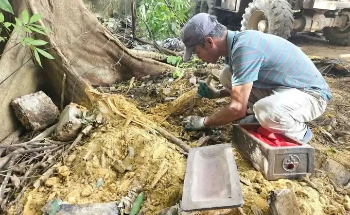 Nằm Mơ Thấy Hài Cốt Đánh Con Gì