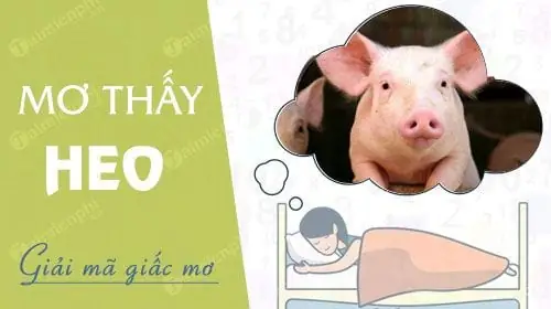 Nằm Mơ Thấy Heo Con Đánh Số Gì? Giải Mã Ý Nghĩa Và Con Số May Mắn Nằm Mơ Thấy Heo Con Đánh Số Gì? Giải Mã Ý Nghĩa Và Con Số May Mắn