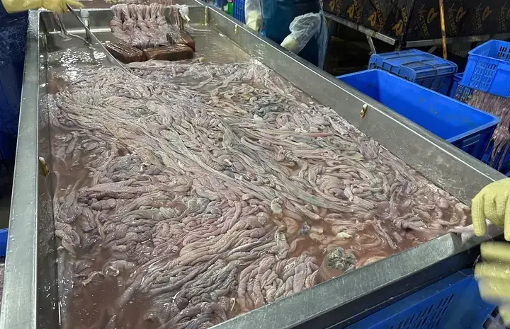 Nằm Mơ Thấy Lòng Lợn Đánh Đề Con Gì Nằm Mơ Thấy Lòng Lợn Đánh Đề Con Gì