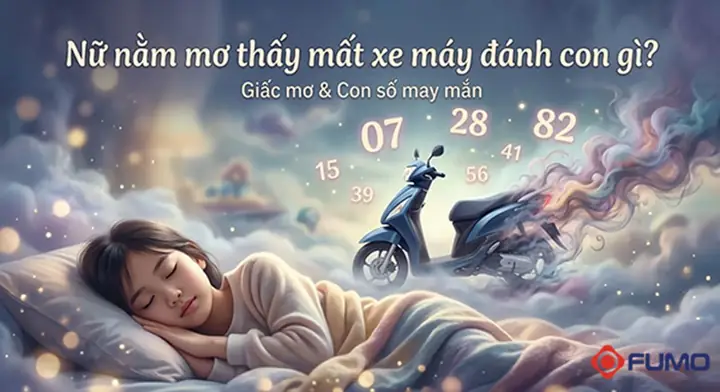Nằm Mơ Thấy Mất Tiền Đánh Số May
