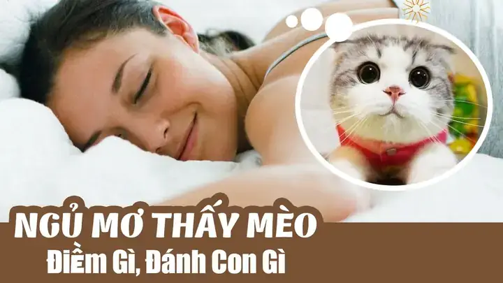 Giải Mã Ý Nghĩa Và Con Số May Mắn Khi Nằm Mơ Thấy Mèo Cắn Giải Mã Ý Nghĩa Và Con Số May Mắn Khi Nằm Mơ Thấy Mèo Cắn