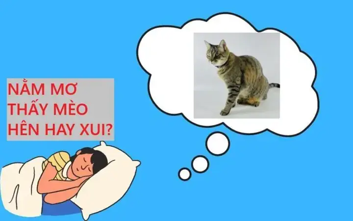 Giải Mã Ý Nghĩa Và Con Số May Mắn Khi Nằm Mơ Thấy Mèo Cắn Giải Mã Ý Nghĩa Và Con Số May Mắn Khi Nằm Mơ Thấy Mèo Cắn