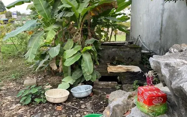 Nằm Mơ Thấy Mình Giết Người Giấu Xác