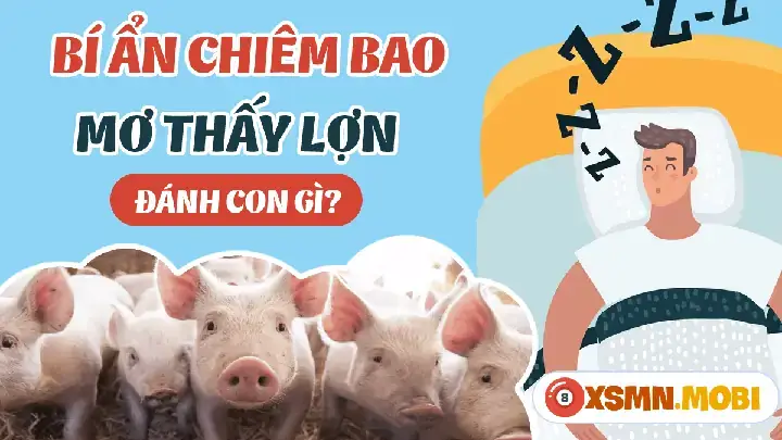 Nằm Mơ Thấy Mổ Lợn Đánh Con Gì? Ý Nghĩa, Cách Giải Thích Và Con Số May Mắn Nằm Mơ Thấy Mổ Lợn Đánh Con Gì? Ý Nghĩa, Cách Giải Thích Và Con Số May Mắn