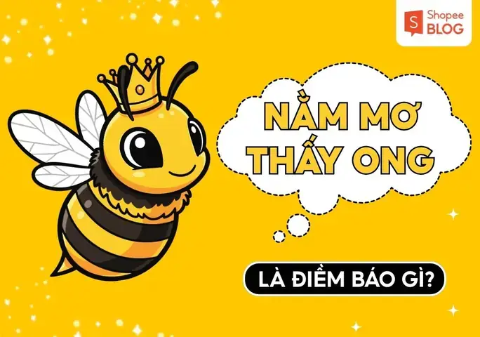 Nằm Mơ Thấy Người Đàn Ông Đưa Tiền Cho Mình Đánh Con Gì