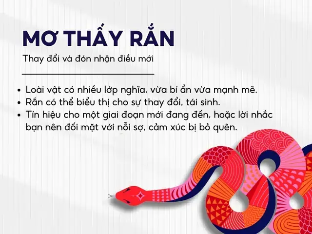 Nằm Mơ Thấy Người Khác Làm Thịt Rắn: Ý Nghĩa Sâu Sắc Và Cách Giải Thích Chi Tiết Nằm Mơ Thấy Người Khác Làm Thịt Rắn: Ý Nghĩa Sâu Sắc Và Cách Giải Thích Chi Tiết