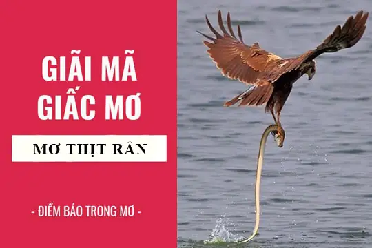Nằm Mơ Thấy Người Khác Làm Thịt Rắn: Ý Nghĩa Sâu Sắc Và Cách Giải Thích Chi Tiết Nằm Mơ Thấy Người Khác Làm Thịt Rắn: Ý Nghĩa Sâu Sắc Và Cách Giải Thích Chi Tiết
