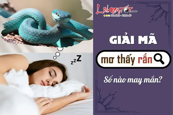 Nằm Mơ Thấy Người Khác Làm Thịt Rắn: Ý Nghĩa Sâu Sắc Và Cách Giải Thích Chi Tiết Nằm Mơ Thấy Người Khác Làm Thịt Rắn: Ý Nghĩa Sâu Sắc Và Cách Giải Thích Chi Tiết