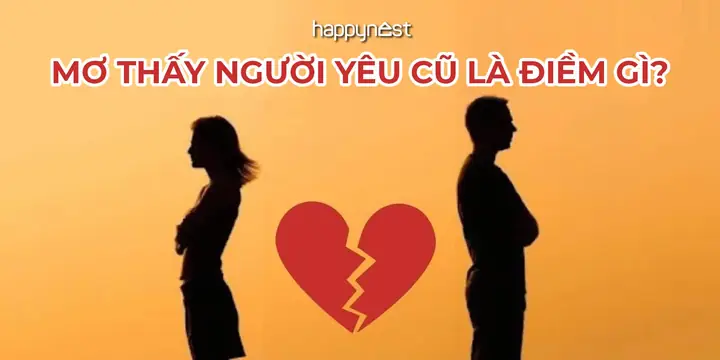 Giải Mã Giấc Mơ Thấy Người Yêu Cũ Quay Lại: Ý Nghĩa, Dấu Hiệu Và Cách Hiểu Cho Người Đang Băn Khoăn