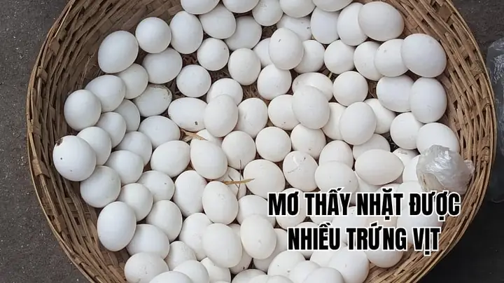 Nằm Mơ Thấy Nhặt Được Nhiều Trứng Vịt Nằm Mơ Thấy Nhặt Được Nhiều Trứng Vịt