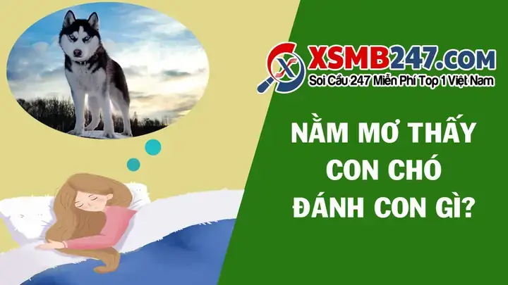 Nằm Mơ Thấy Nhiều Chó Đánh Số May
