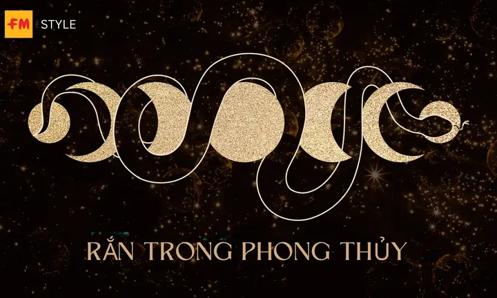 Nằm Mơ Thấy Nhiều Rắn Đánh De Con Gì