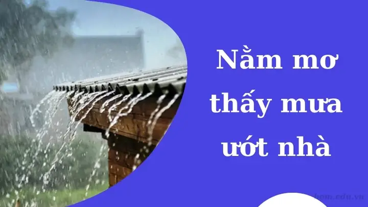 Nằm Mơ Thấy Nước Mưa Dột Vào Nhà: Ý Nghĩa, Điềm Báo Tài Chính Và Cách Giải Thích Cho Người Mơ Nằm Mơ Thấy Nước Mưa Dột Vào Nhà: Ý Nghĩa, Điềm Báo Tài Chính Và Cách Giải Thích Cho Người Mơ