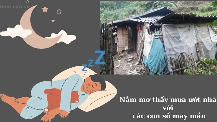 Nằm Mơ Thấy Nước Mưa Dột Vào Nhà: Ý Nghĩa, Điềm Báo Tài Chính Và Cách Giải Thích Cho Người Mơ Nằm Mơ Thấy Nước Mưa Dột Vào Nhà: Ý Nghĩa, Điềm Báo Tài Chính Và Cách Giải Thích Cho Người Mơ