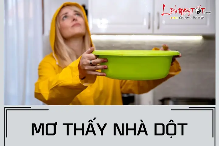 Nằm Mơ Thấy Nước Mưa Dột Vào Nhà: Ý Nghĩa, Điềm Báo Tài Chính Và Cách Giải Thích Cho Người Mơ Nằm Mơ Thấy Nước Mưa Dột Vào Nhà: Ý Nghĩa, Điềm Báo Tài Chính Và Cách Giải Thích Cho Người Mơ