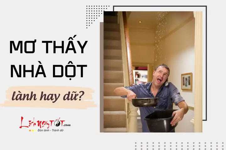 Nằm Mơ Thấy Nước Mưa Dột Vào Nhà: Ý Nghĩa, Điềm Báo Tài Chính Và Cách Giải Thích Cho Người Mơ Nằm Mơ Thấy Nước Mưa Dột Vào Nhà: Ý Nghĩa, Điềm Báo Tài Chính Và Cách Giải Thích Cho Người Mơ