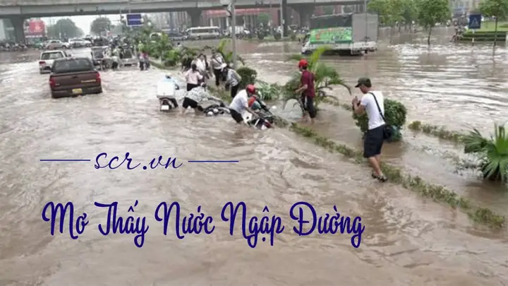Nằm Mơ Thấy Nước Ngập Đường: Đánh Con Gì Để Trúng Lớn? Nằm Mơ Thấy Nước Ngập Đường: Đánh Con Gì Để Trúng Lớn?
