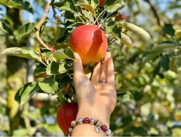 Nằm Mơ Thấy Ông Táo Là Điềm Gì? Giải Mã Ý Nghĩa, Số Đề Và Cách Hiểu Sâu Nằm Mơ Thấy Ông Táo Là Điềm Gì? Giải Mã Ý Nghĩa, Số Đề Và Cách Hiểu Sâu