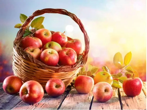 Nằm Mơ Thấy Ông Táo Là Điềm Gì? Giải Mã Ý Nghĩa, Số Đề Và Cách Hiểu Sâu Nằm Mơ Thấy Ông Táo Là Điềm Gì? Giải Mã Ý Nghĩa, Số Đề Và Cách Hiểu Sâu