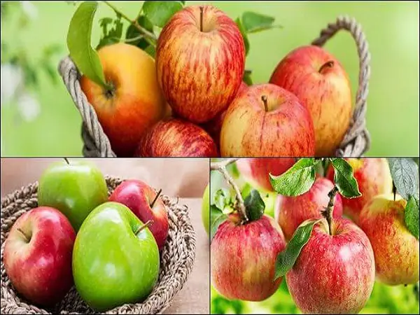 Nằm Mơ Thấy Ông Táo Là Điềm Gì? Giải Mã Ý Nghĩa, Số Đề Và Cách Hiểu Sâu Nằm Mơ Thấy Ông Táo Là Điềm Gì? Giải Mã Ý Nghĩa, Số Đề Và Cách Hiểu Sâu