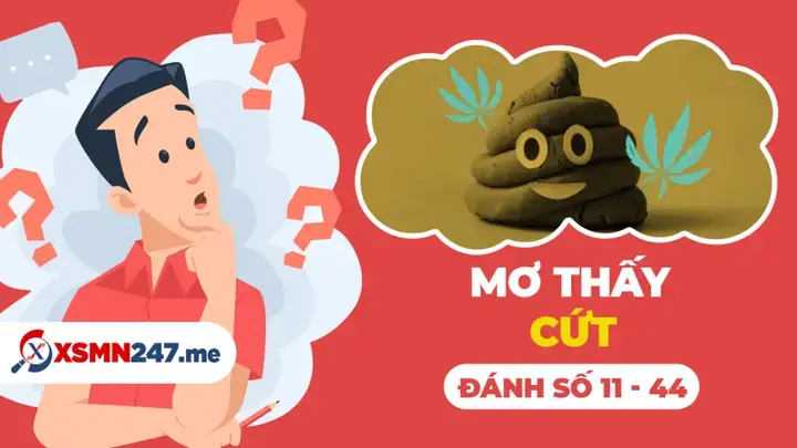 Giải Nghĩa Giấc Mơ Thấy Phân Chó Và Con Số May Mắn Nên Đánh Giải Nghĩa Giấc Mơ Thấy Phân Chó Và Con Số May Mắn Nên Đánh